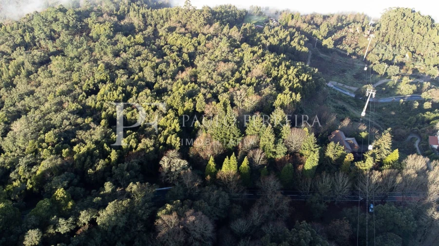 Quinta T3 para Venda em Costa Foto 7