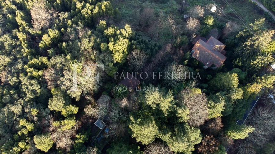 Quinta T3 para Venda em Costa Foto 9