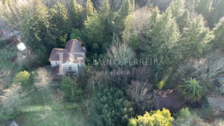 Quinta T3 para Venda em Costa Foto 11