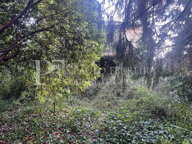 Quinta T3 para Venda em Costa Foto 15