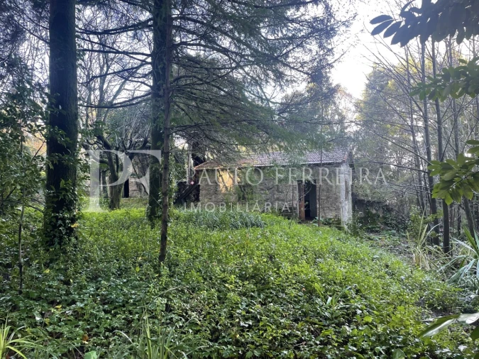 Quinta T3 para Venda em Costa Foto 20