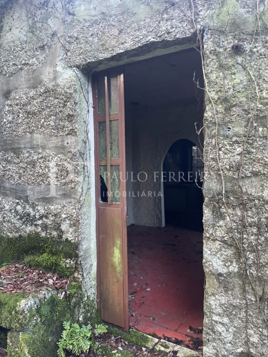 Quinta T3 para Venda em Costa Foto 22