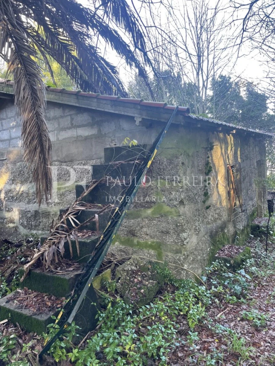 Quinta T3 para Venda em Costa Foto 24