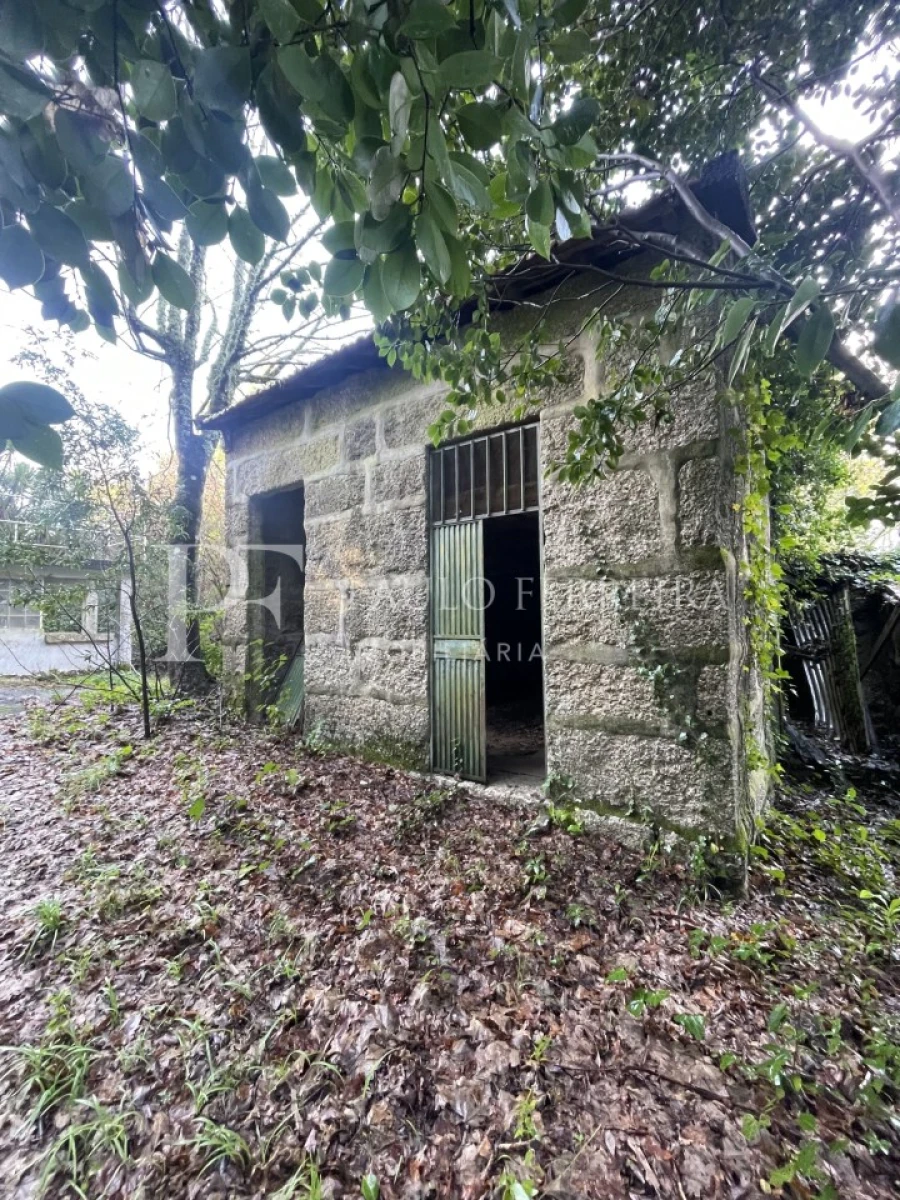 Quinta T3 para Venda em Costa Foto 25