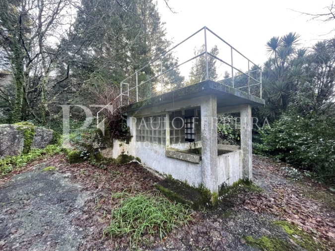 Quinta T3 para Venda em Costa Foto 26