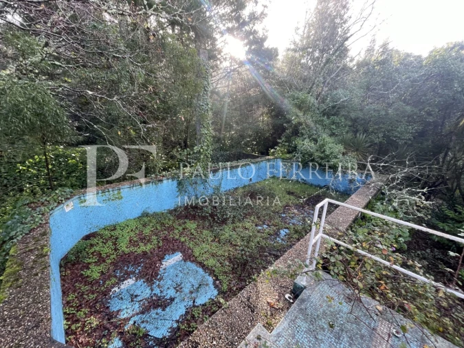 Quinta T3 para Venda em Costa Foto 29