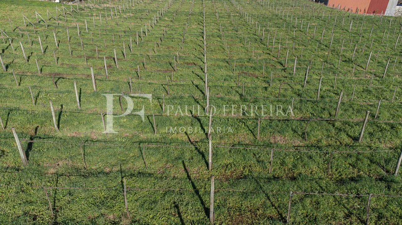 Quinta T4 para Venda em Cruz Foto 69