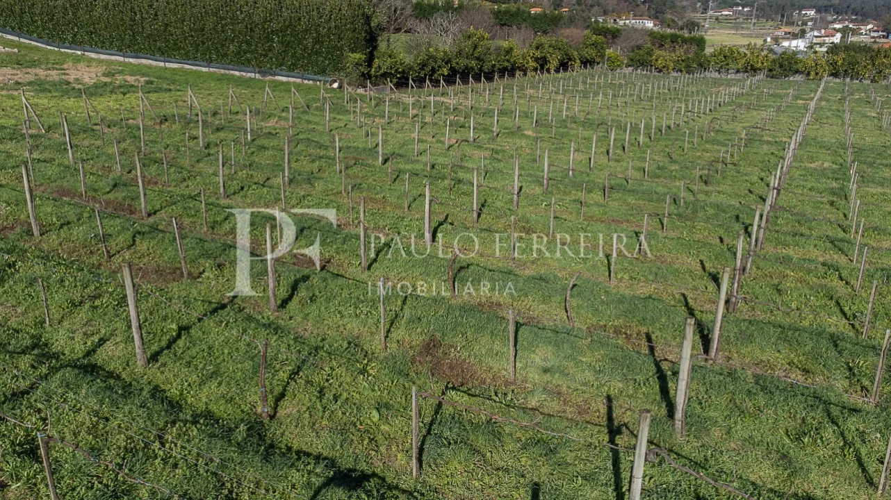 Quinta T4 para Venda em Cruz Foto 70