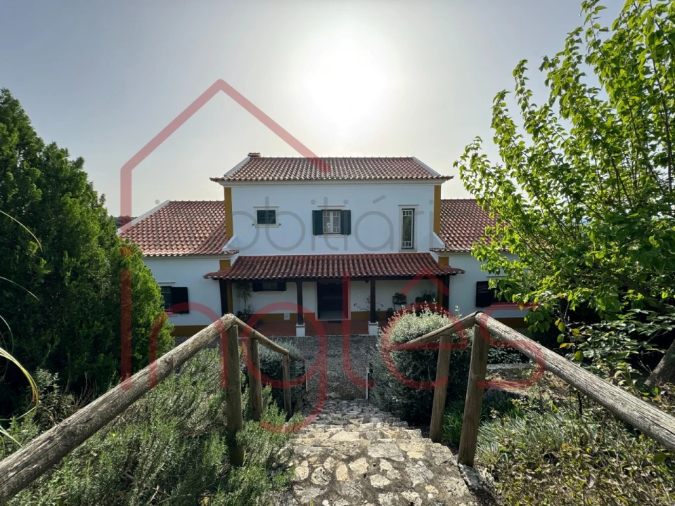 Moradia T6 para Venda em Chamusca e Pinheiro Grande Foto 12