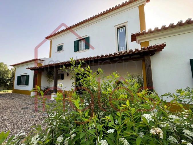 Moradia T6 para Venda em Chamusca e Pinheiro Grande Foto 11