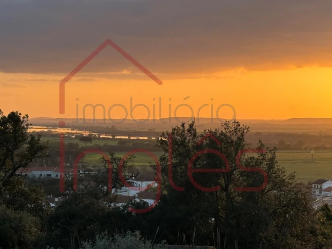 Moradia T6 para Venda em Chamusca e Pinheiro Grande Foto 18