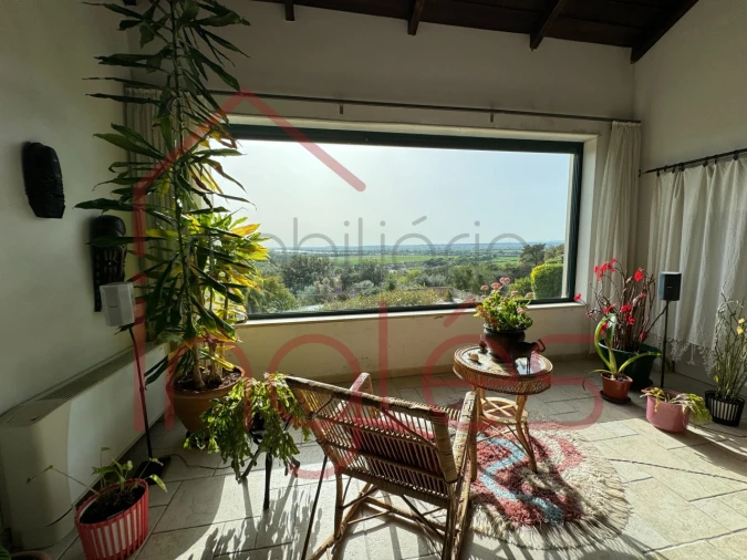 Moradia T6 para Venda em Chamusca e Pinheiro Grande Foto 21