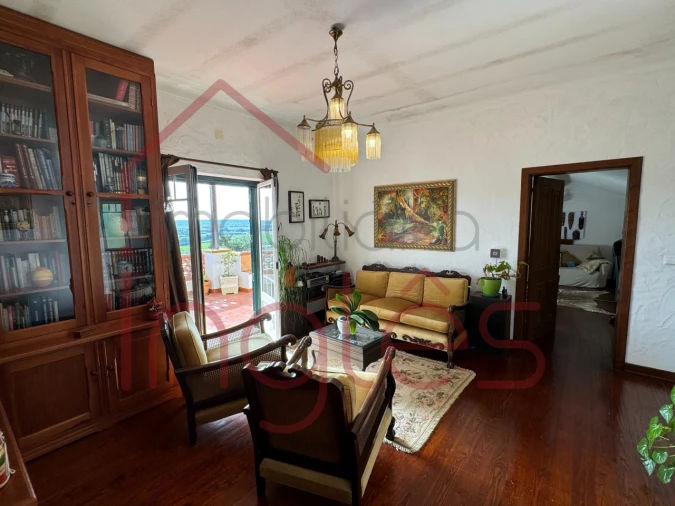 Moradia T6 para Venda em Chamusca e Pinheiro Grande Foto 39