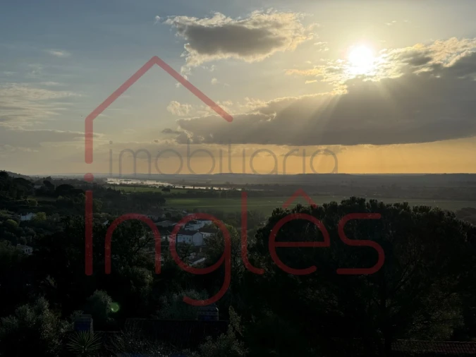 Moradia T6 para Venda em Chamusca e Pinheiro Grande Foto 52