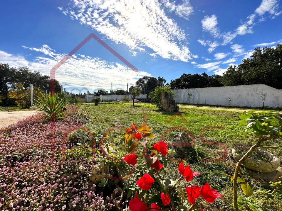 Moradia T4 para Venda em Almoster Foto 41