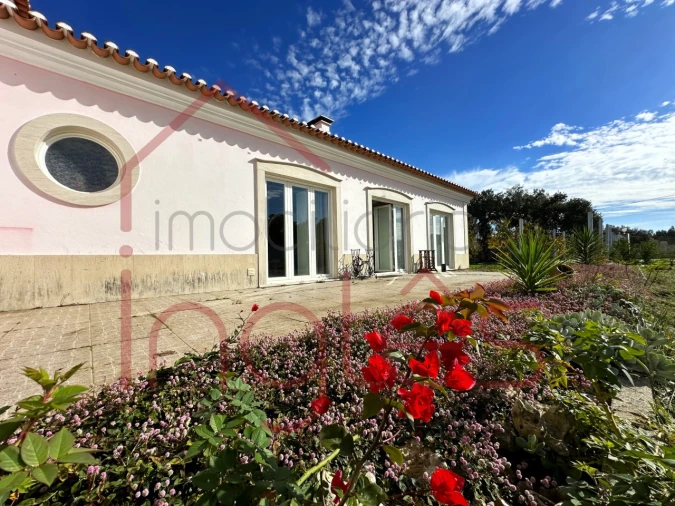 Moradia T4 para Venda em Almoster Foto 40