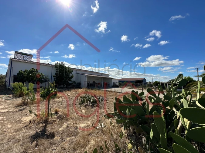 Armazém para Venda em Alpiarça Foto 23