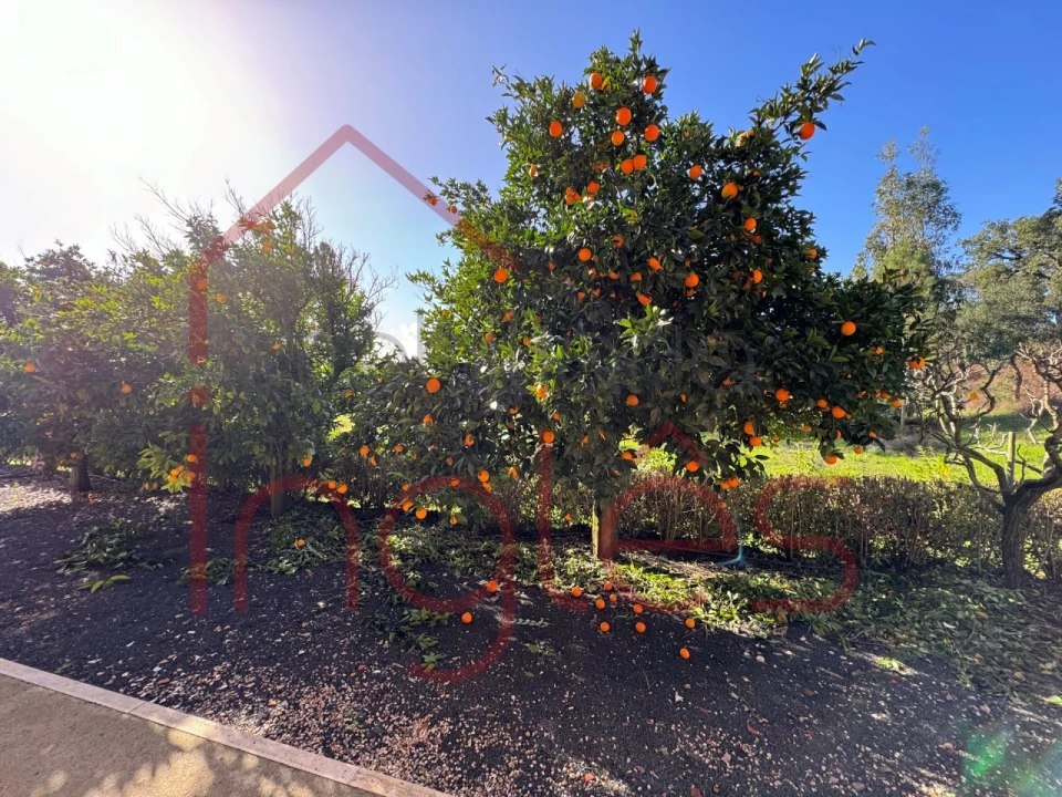 Quinta T11 para Venda em Raposa Foto 56