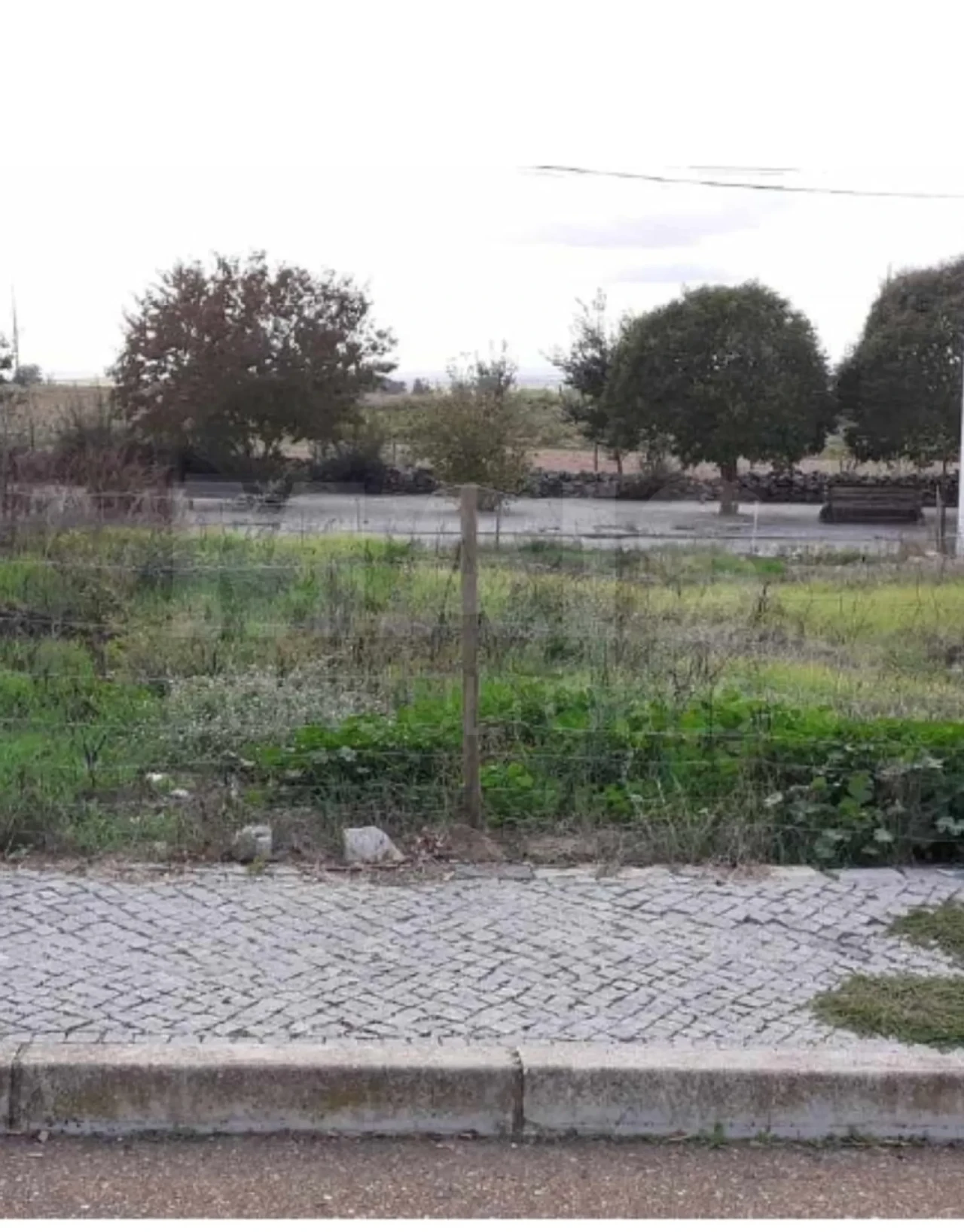 Terreno para Venda em Barbacena e Vila Fernando Foto 1