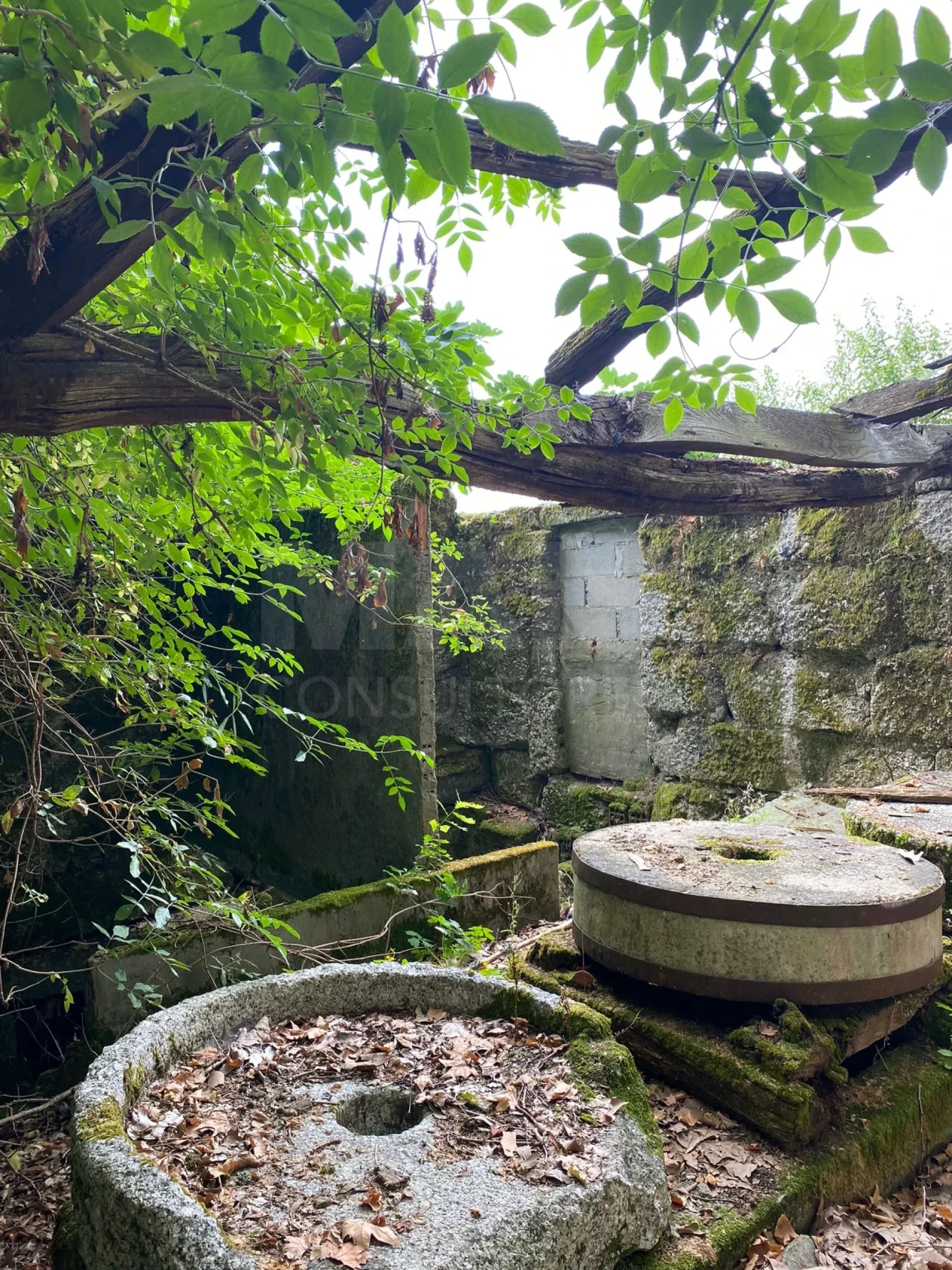 Prédio para Venda em Cernadelo e Lousada (São Miguel e Santa Margarida) Foto 1