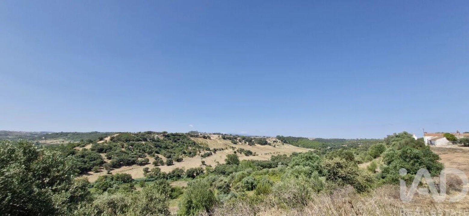 Moradia T3 para Venda em Almoster Foto 28