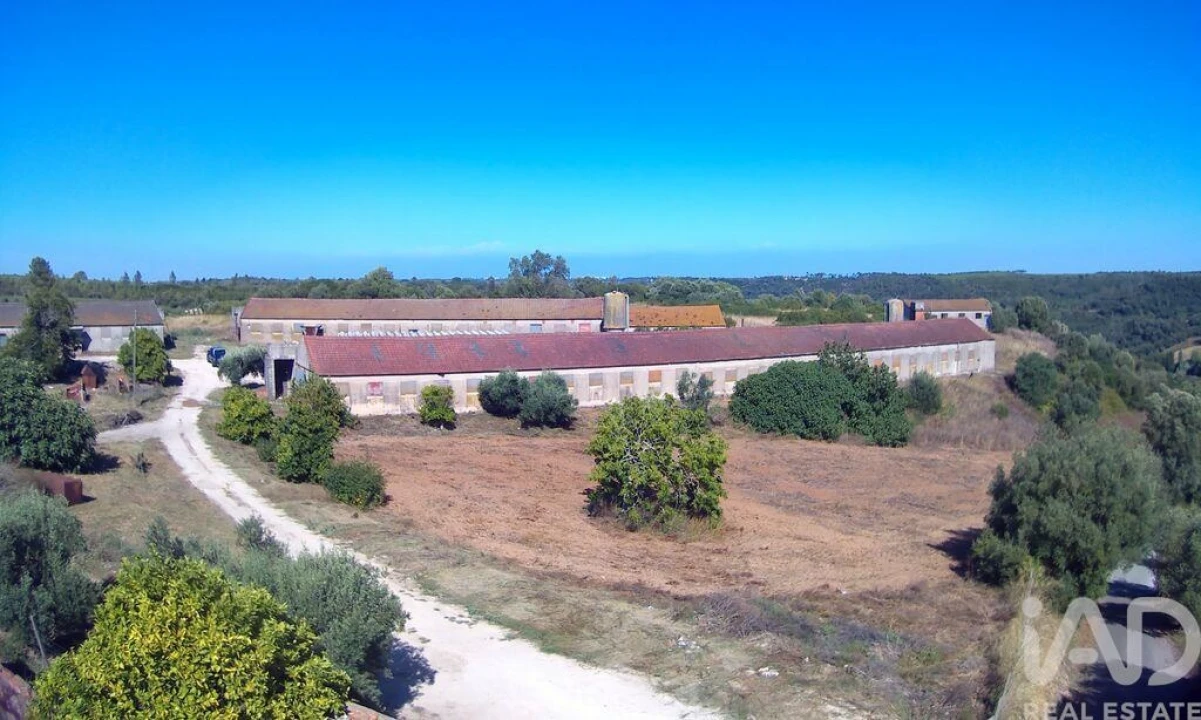 Moradia T3 para Venda em Almoster Foto 10