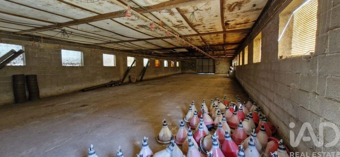 Moradia T3 para Venda em Almoster Foto 27