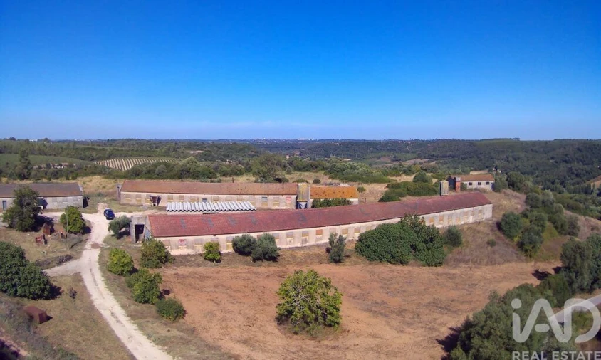 Moradia T3 para Venda em Almoster Foto 2