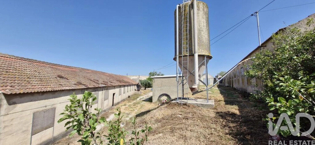 Moradia T3 para Venda em Almoster Foto 29