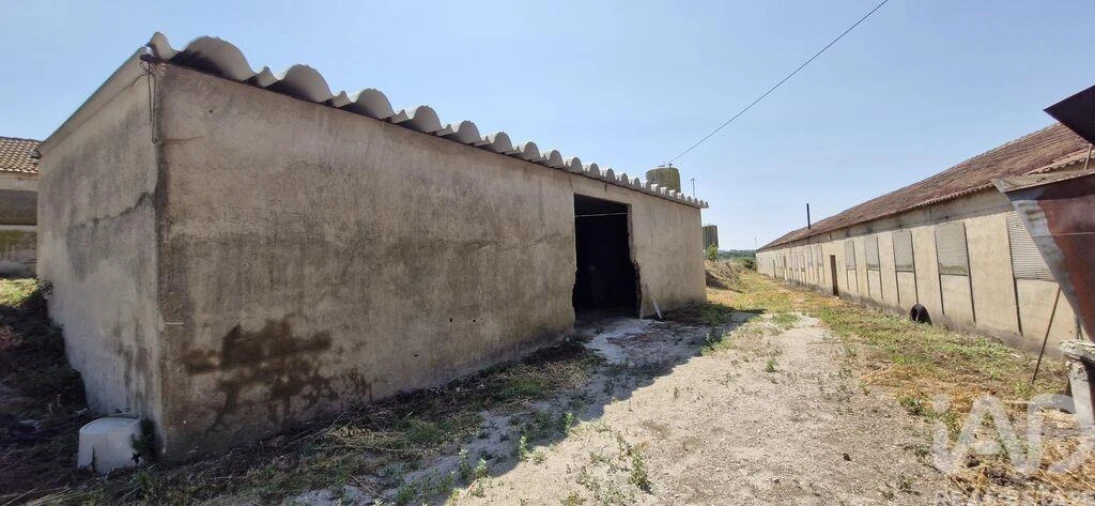 Moradia T3 para Venda em Almoster Foto 26