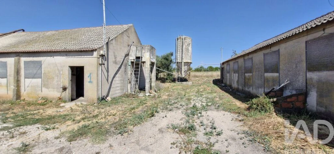 Moradia T3 para Venda em Almoster Foto 25