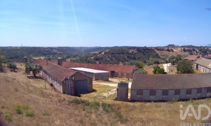 Moradia T3 para Venda em Almoster Foto 11