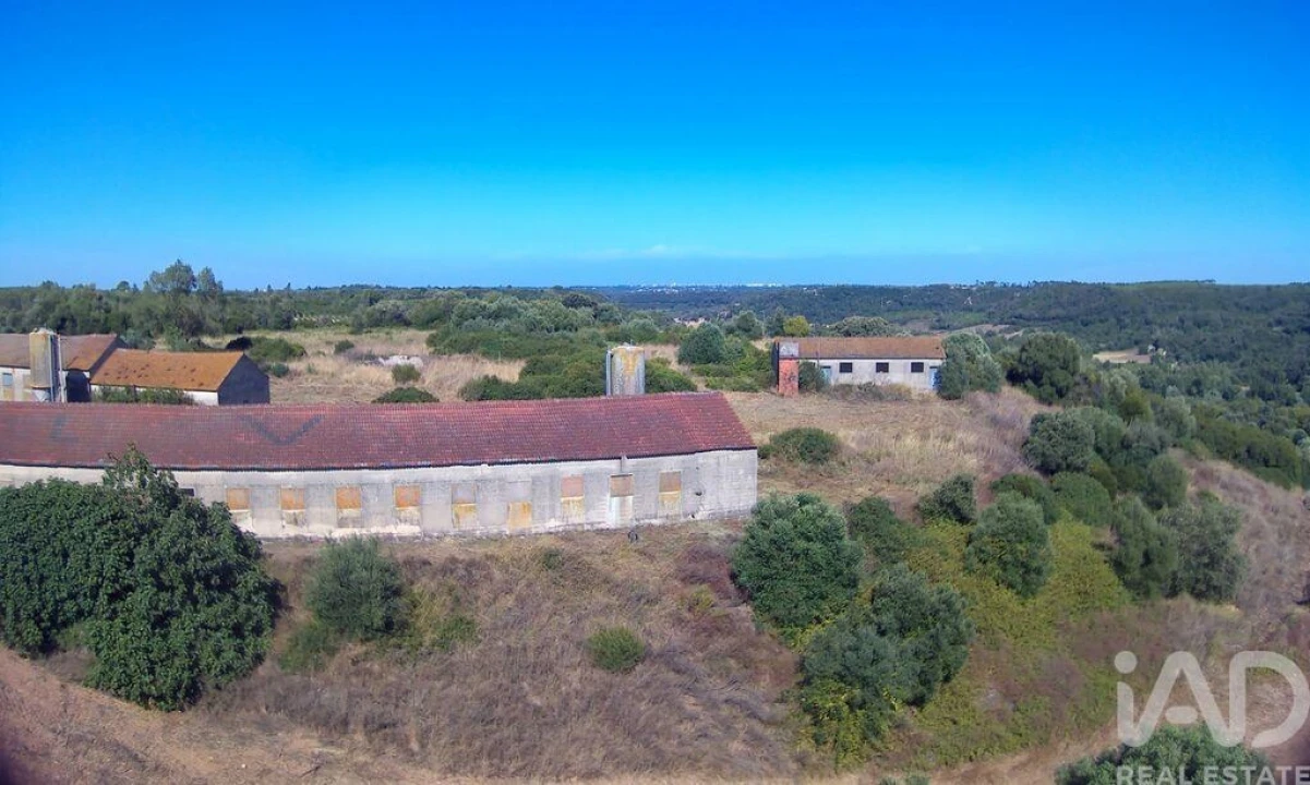 Moradia T3 para Venda em Almoster Foto 7