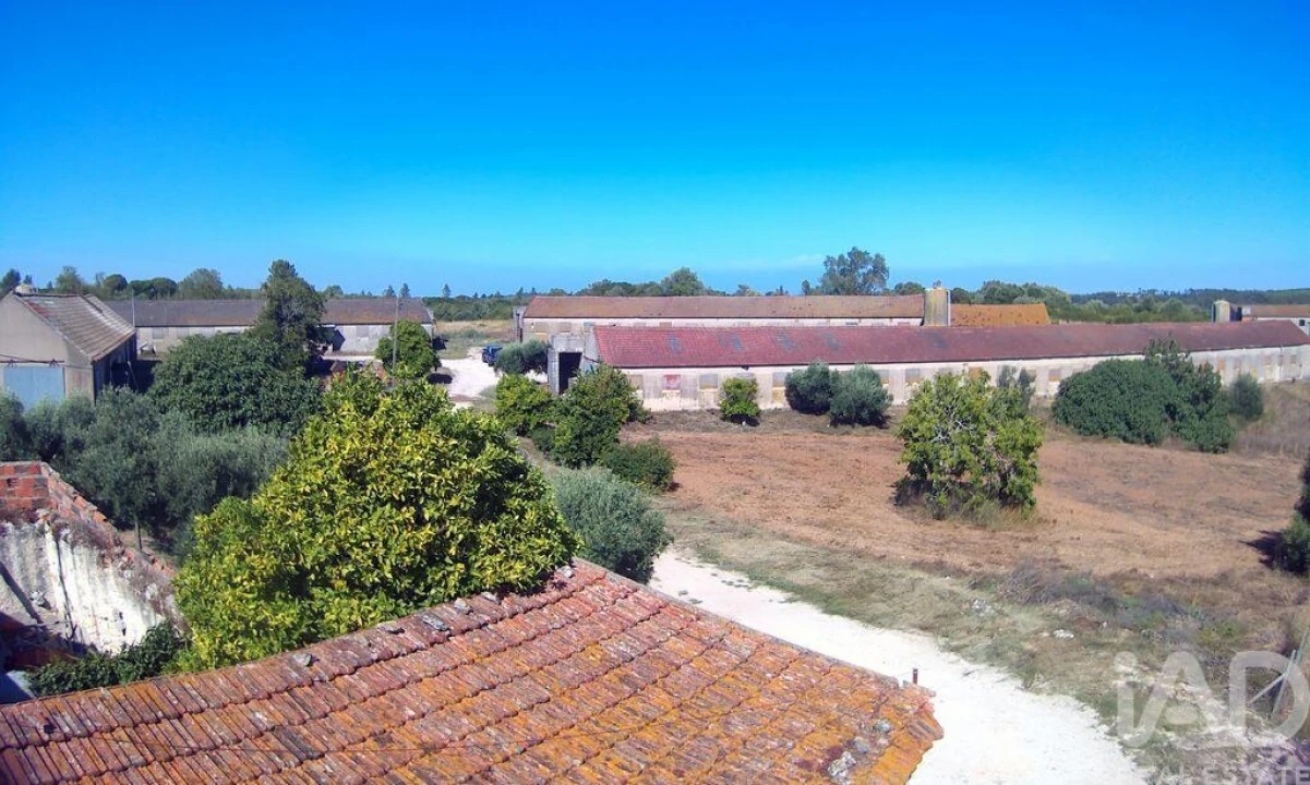 Moradia T3 para Venda em Almoster Foto 8