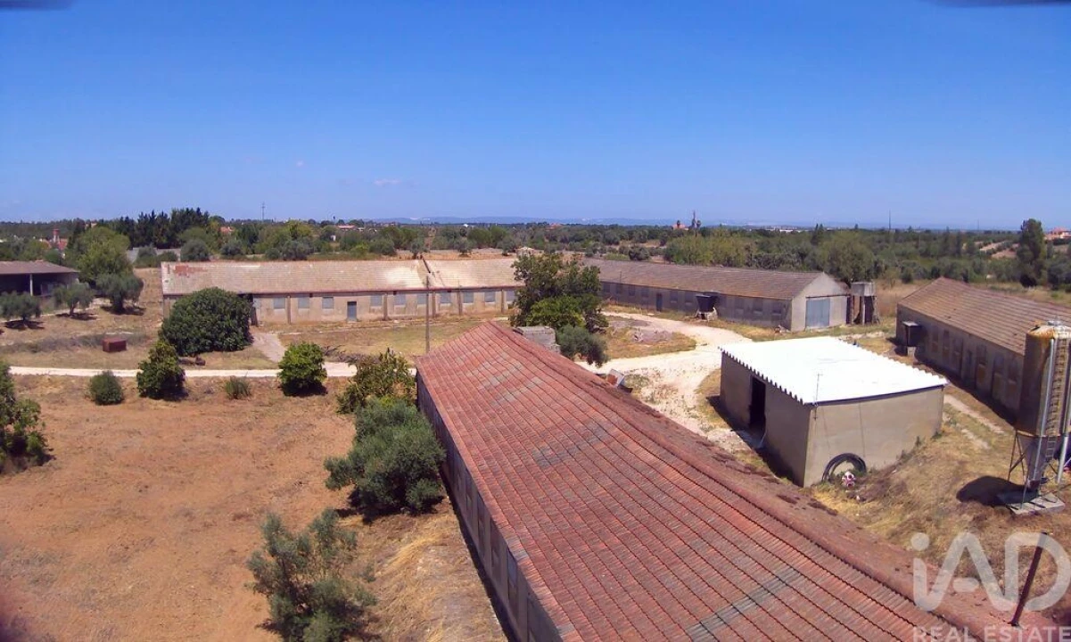 Moradia T3 para Venda em Almoster Foto 12