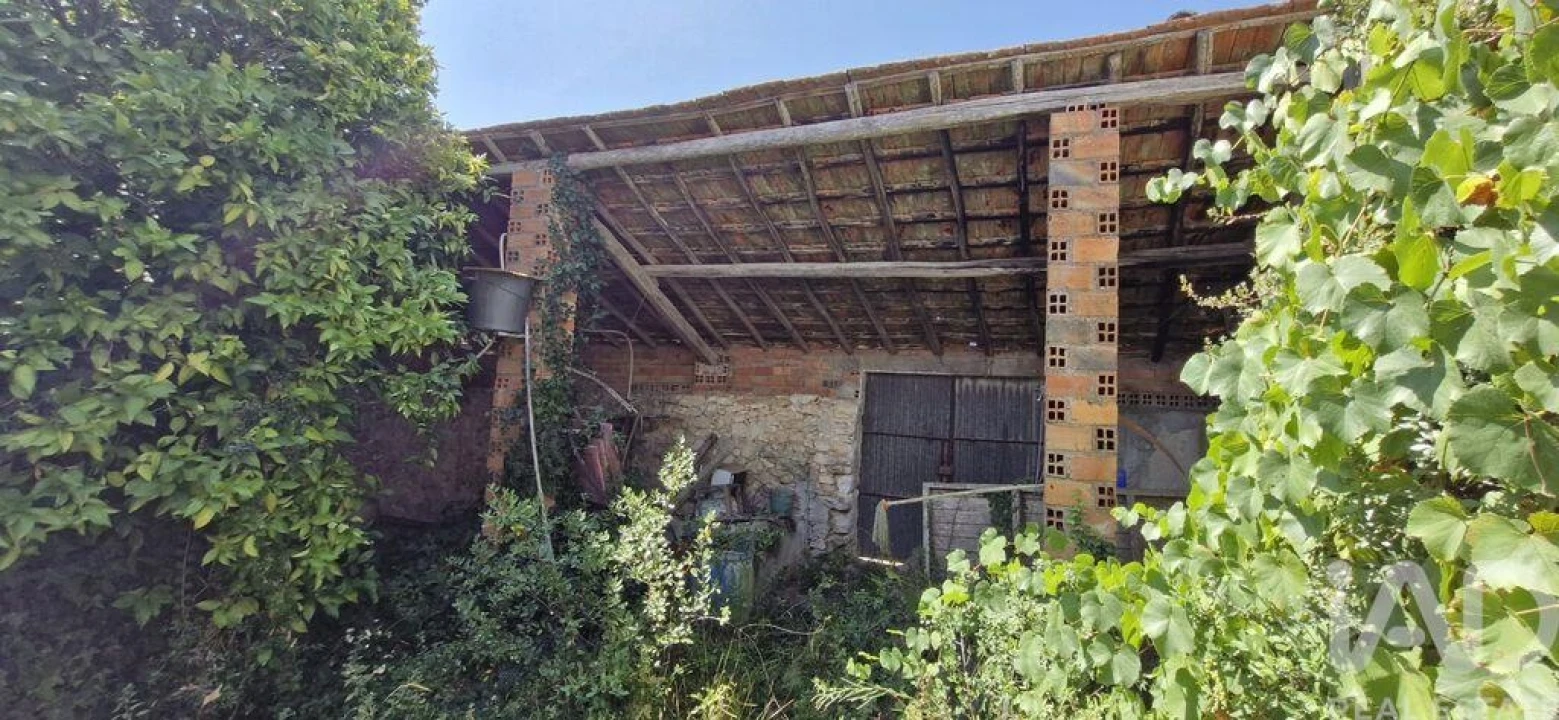 Moradia T3 para Venda em Almoster Foto 4