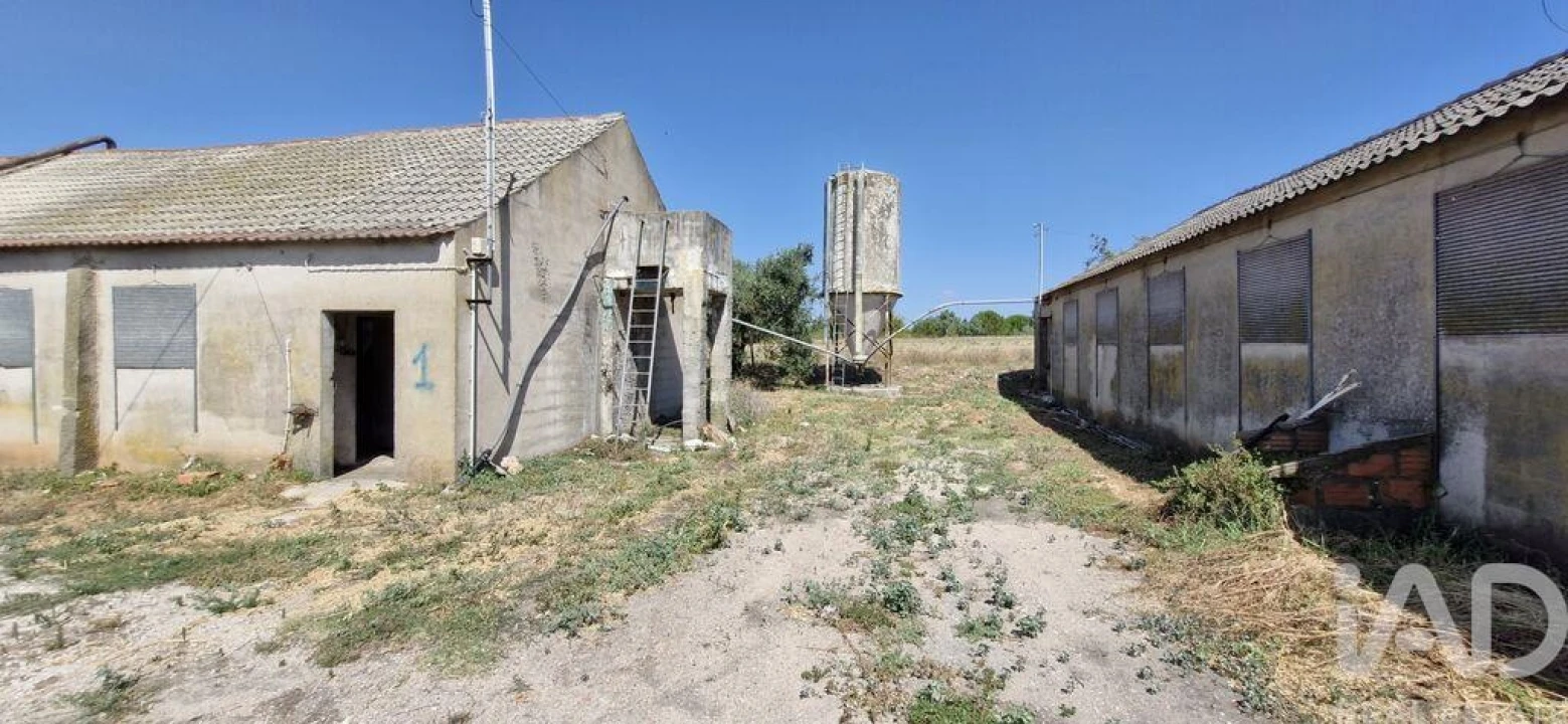 Moradia T3 para Venda em Almoster Foto 25