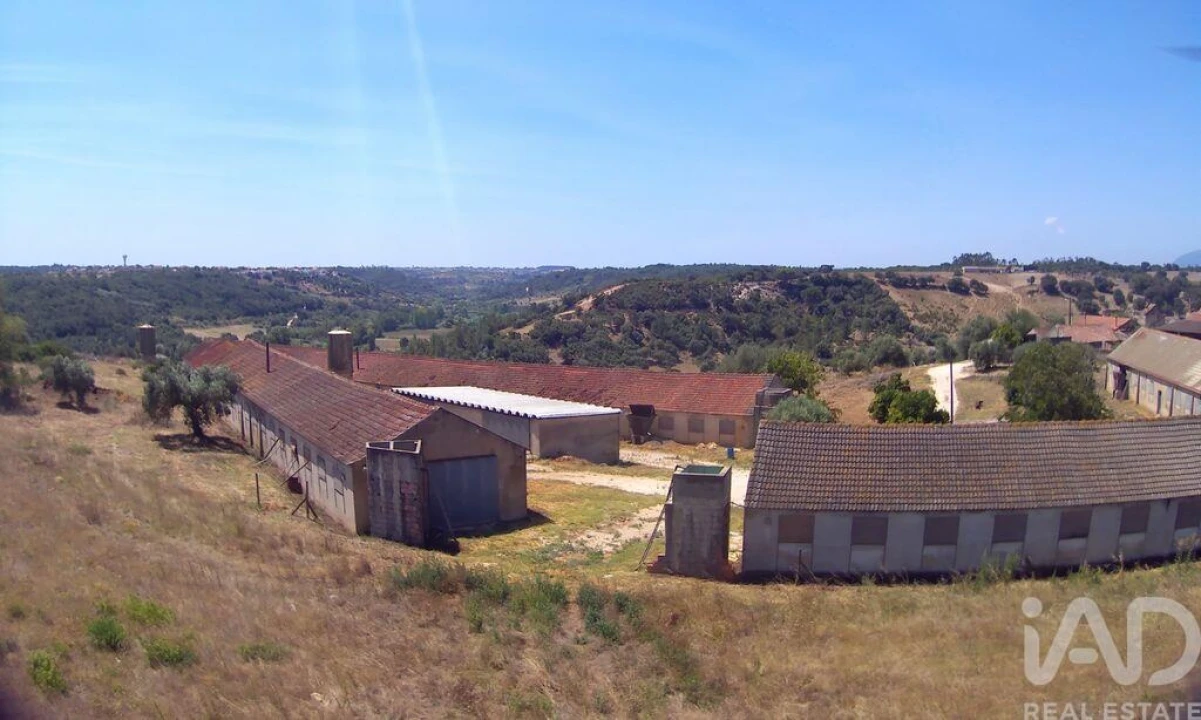 Moradia T3 para Venda em Almoster Foto 11