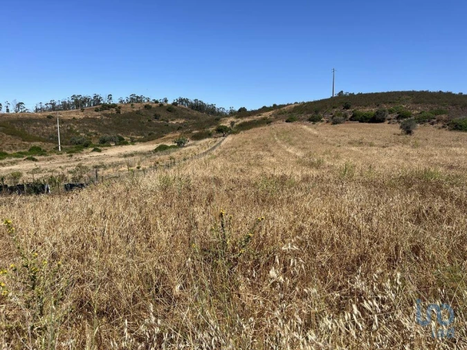 Terreno para Venda em Barão de São Miguel