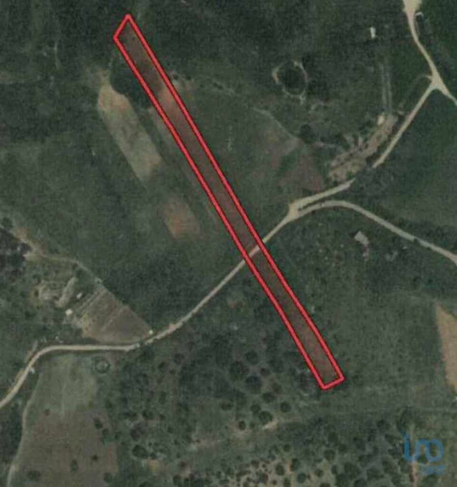 Terreno para Venda em Barão de São Miguel Foto 8