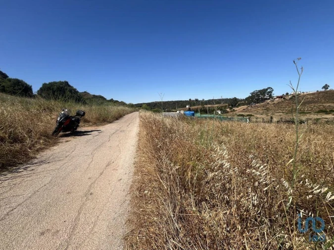 Terreno para Venda em Barão de São Miguel Foto 3