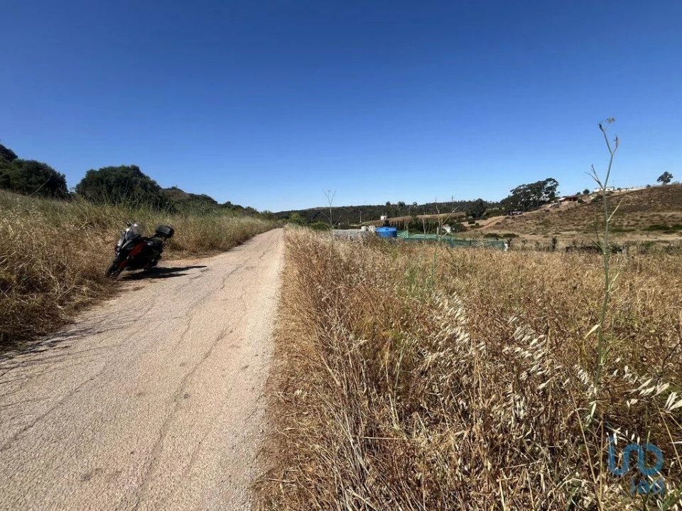 Terreno para Venda em Barão de São Miguel Foto 3