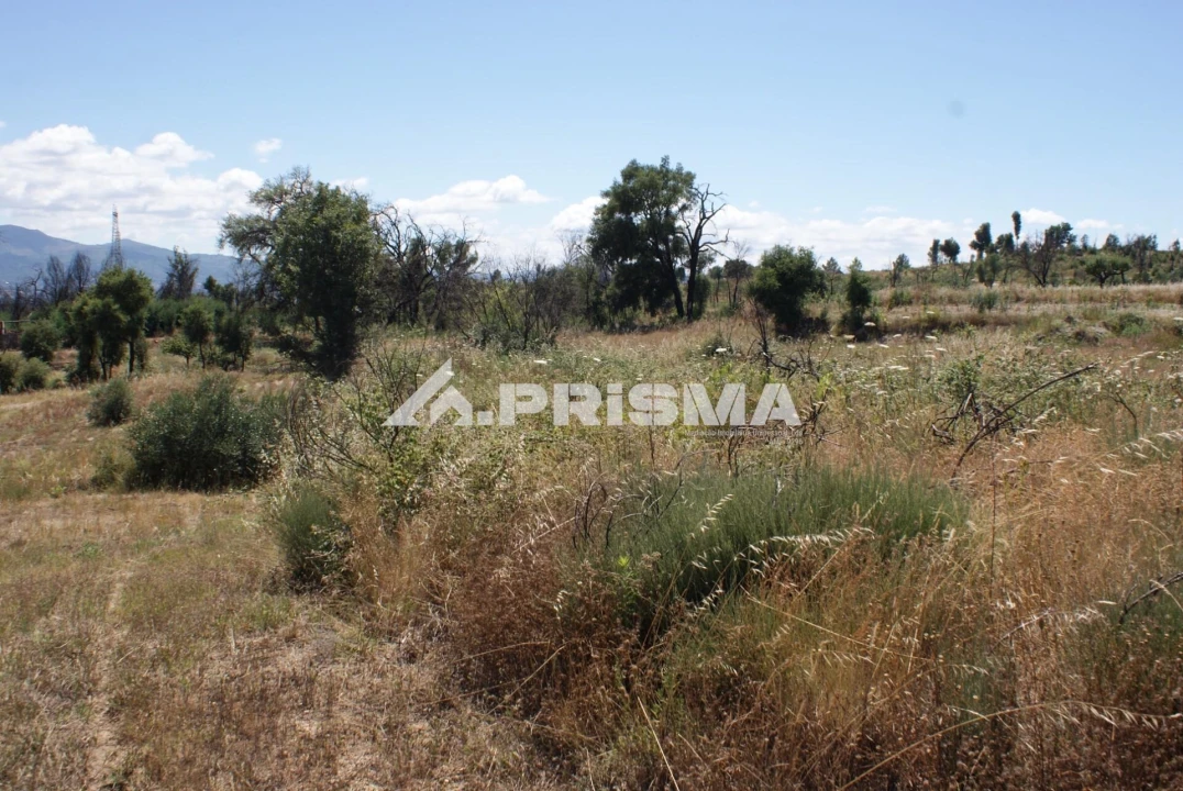 Terreno para Venda em Pero Viseu Foto 23