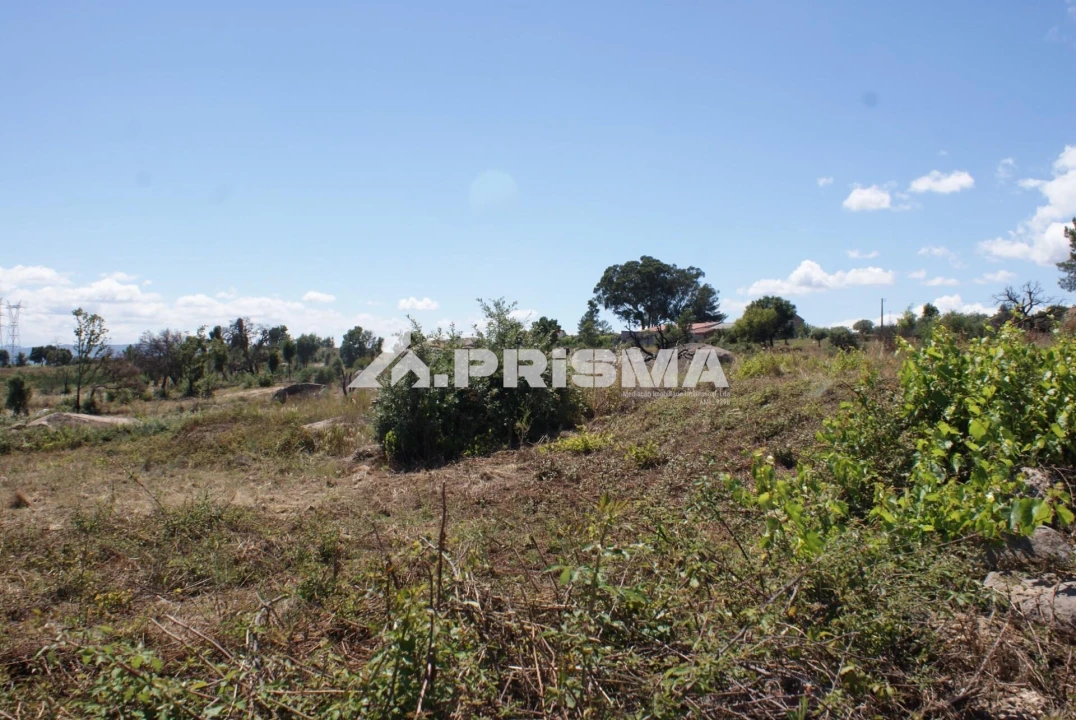 Terreno para Venda em Pero Viseu Foto 25