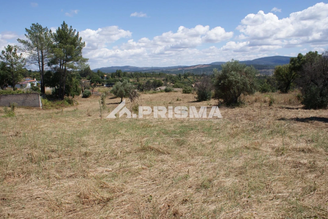 Terreno para Venda em Pero Viseu Foto 14