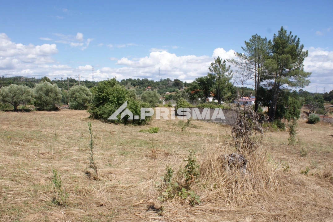 Terreno para Venda em Pero Viseu Foto 15