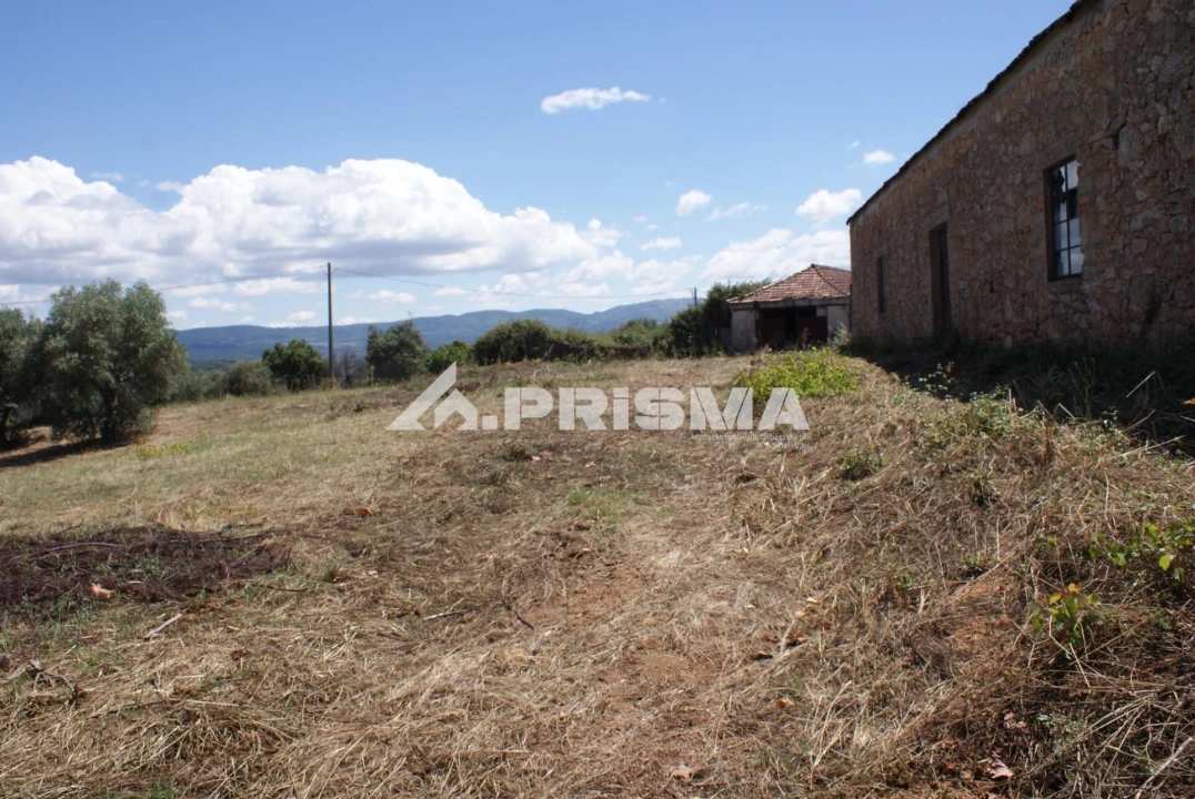 Terreno para Venda em Pero Viseu Foto 3