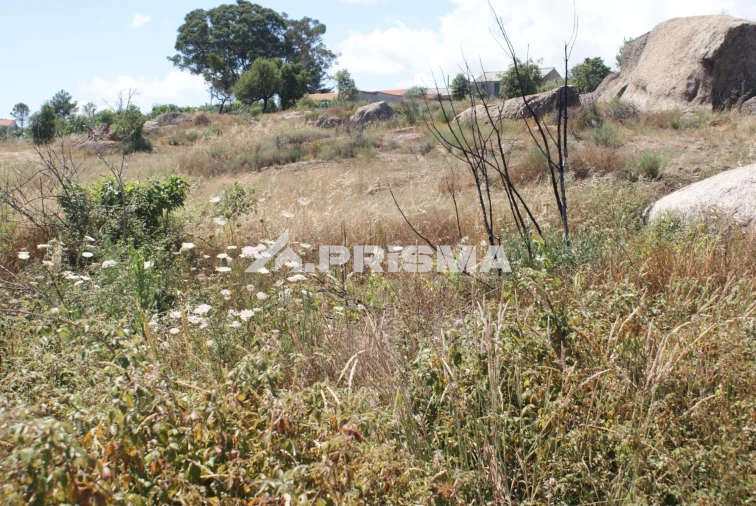 Terreno para Venda em Pero Viseu Foto 21