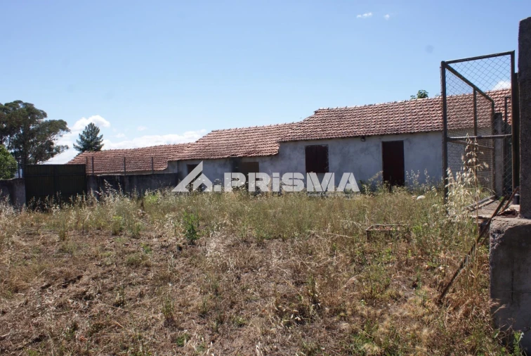 Terreno para Venda em Pero Viseu Foto 9