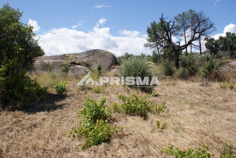 Terreno para Venda em Pero Viseu Foto 19